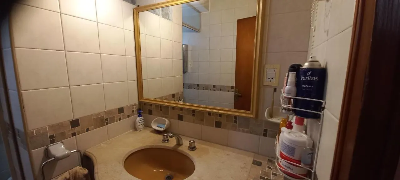 Casa Comoda Y Centrica O Depto 1º Piso Con Terraza Mendoza